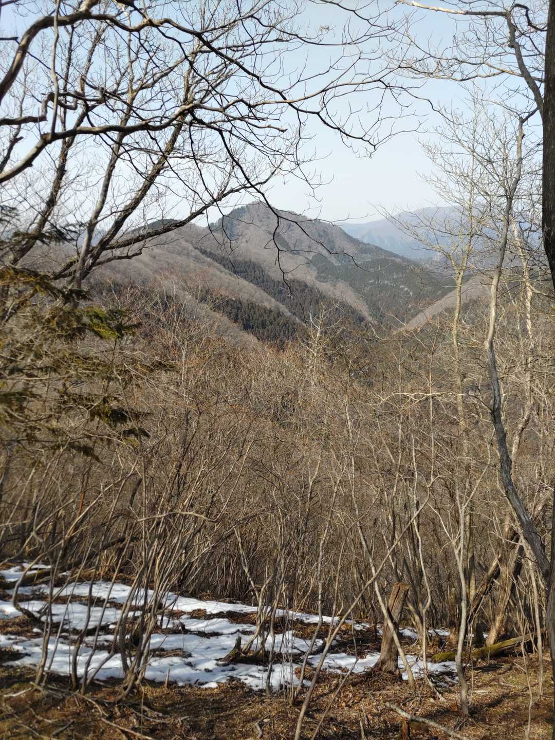 高原山から尾出山を望む