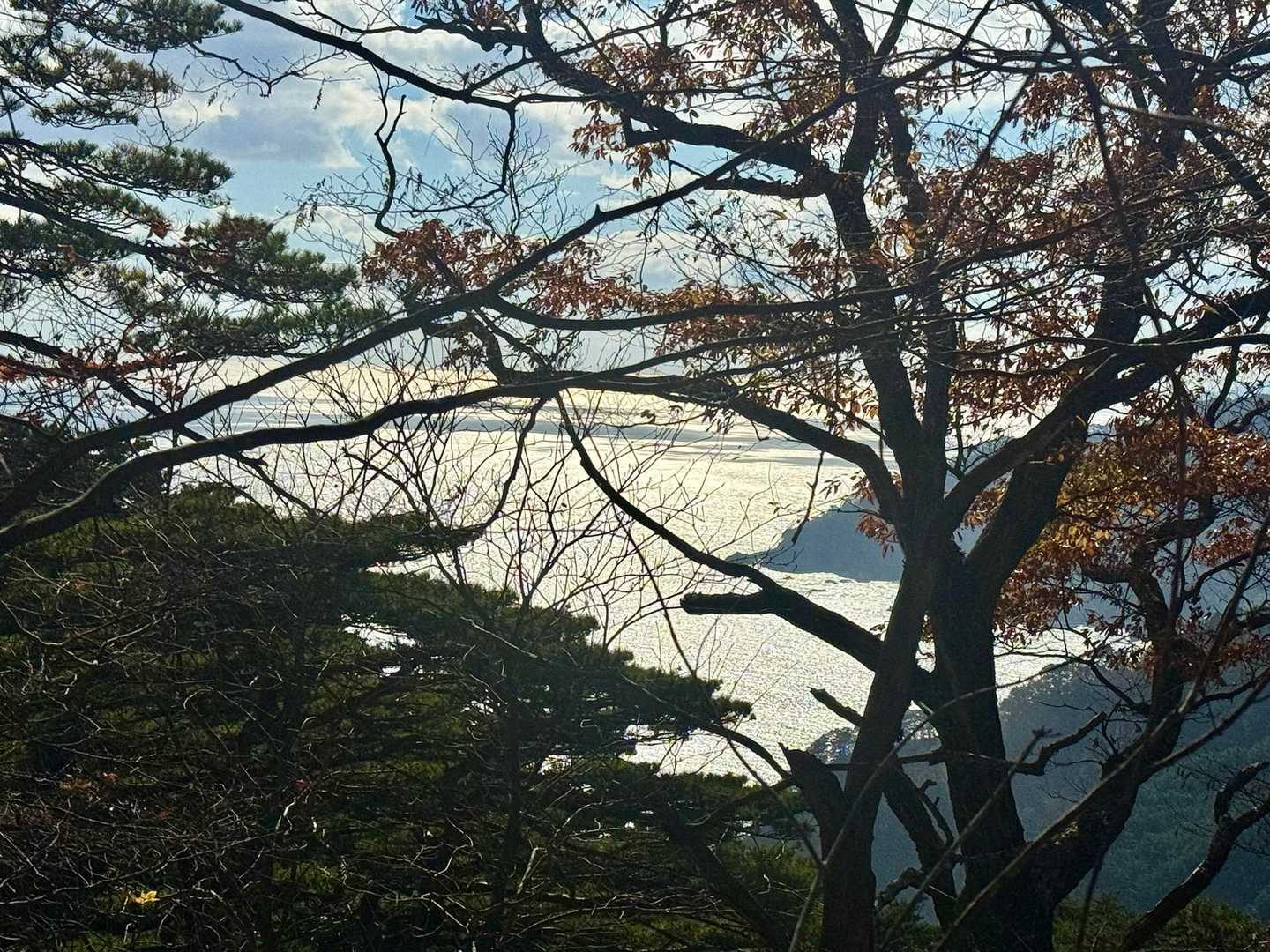 光る海✨✨✨