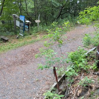 登山口にたどりついたのは18時。
100％で計画してほぼ予定通りだったけど、今回はあんまり休憩してなくてかなり疲弊。ともあれ今回はケガ無く帰ってこれてめでたし。