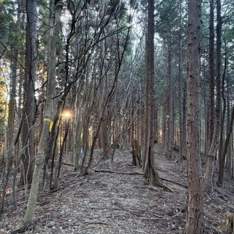 いい感じ( *ˊᵕˋ)✩︎‧₊