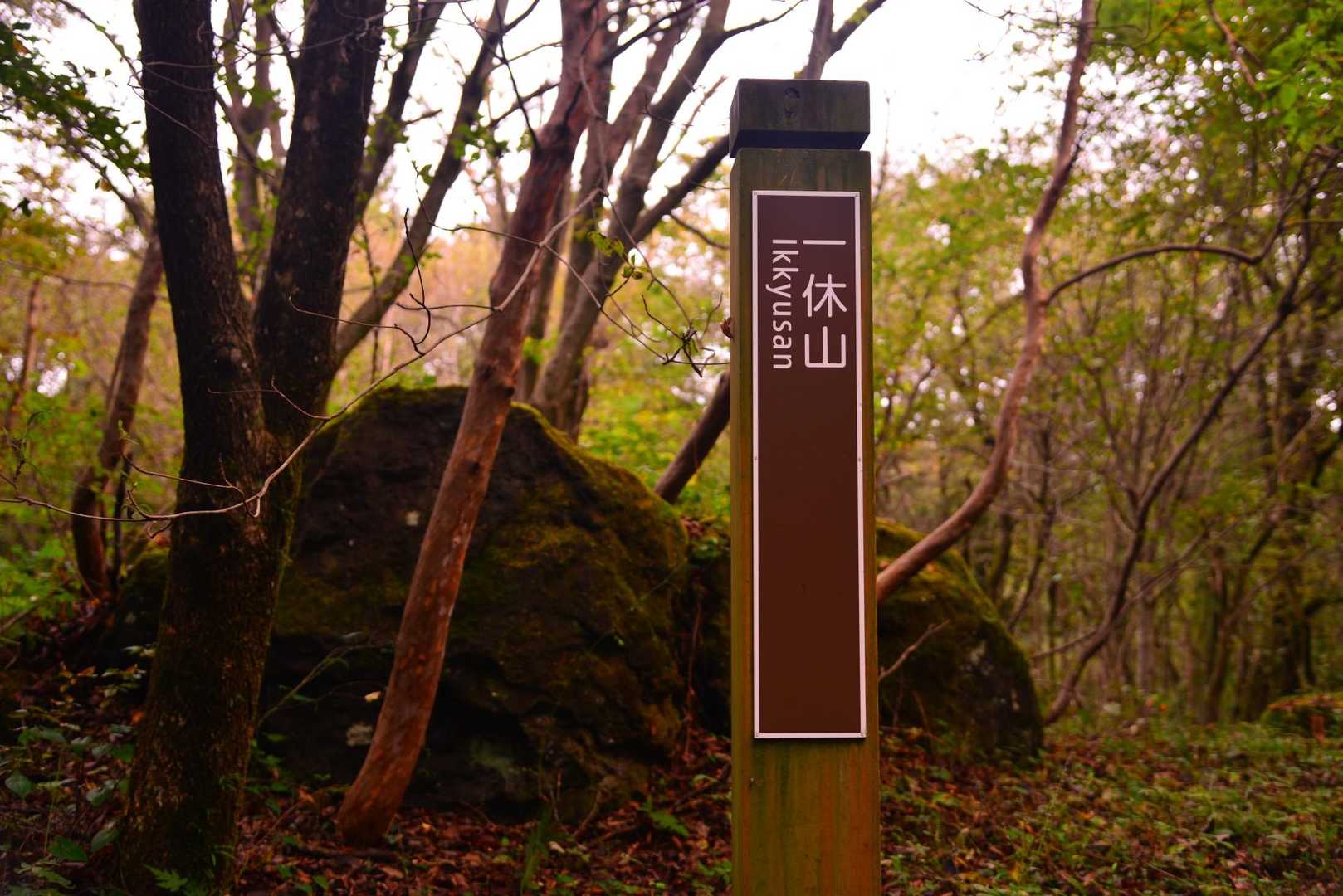 一休山 往復コースの写真
