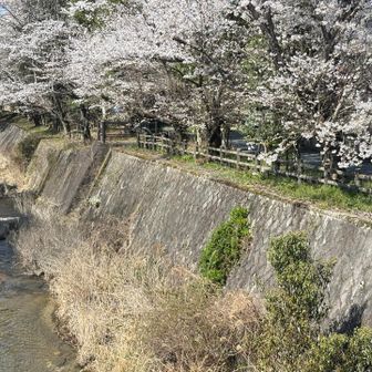 こんな感じで両側にずらっとあって綺麗でした😍では、帰ろう👌