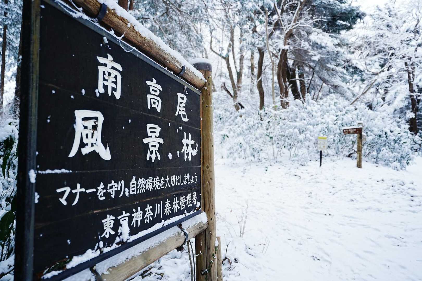 高尾山口-草戸山-榎窪山 往復コースの写真