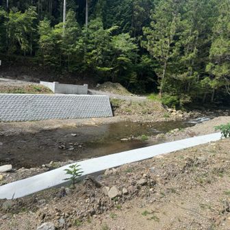 ここを渡渉しないと登山道には行けないらしい