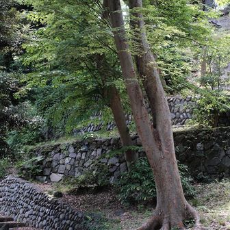 いろんな種類の石垣🪨
