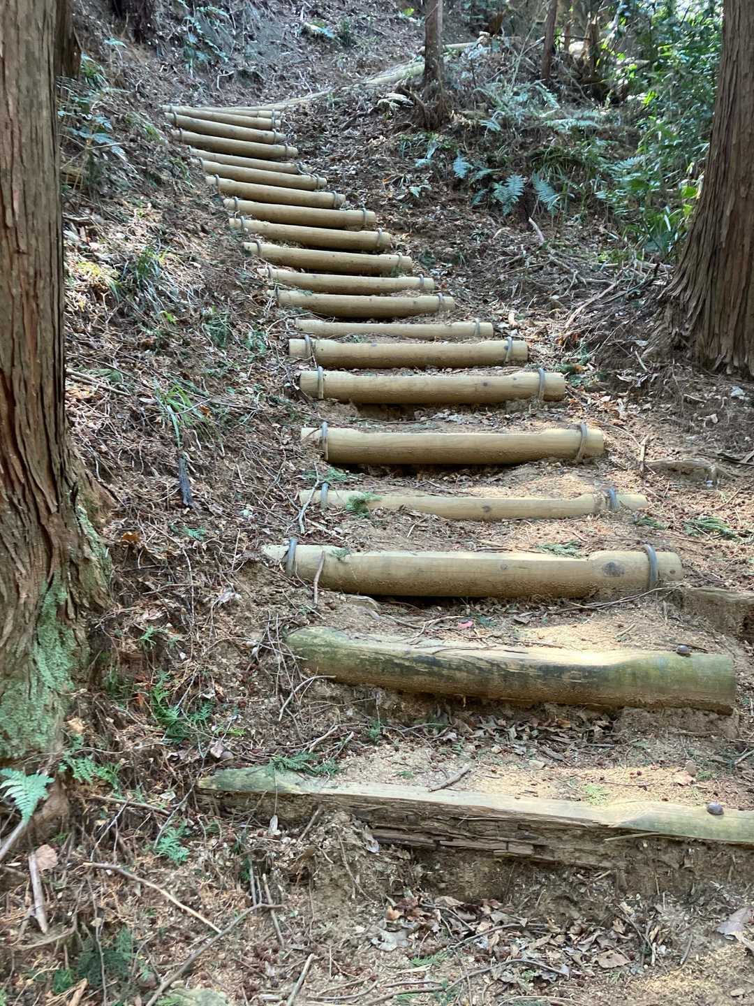 ご存知ダイトレ階段始まる