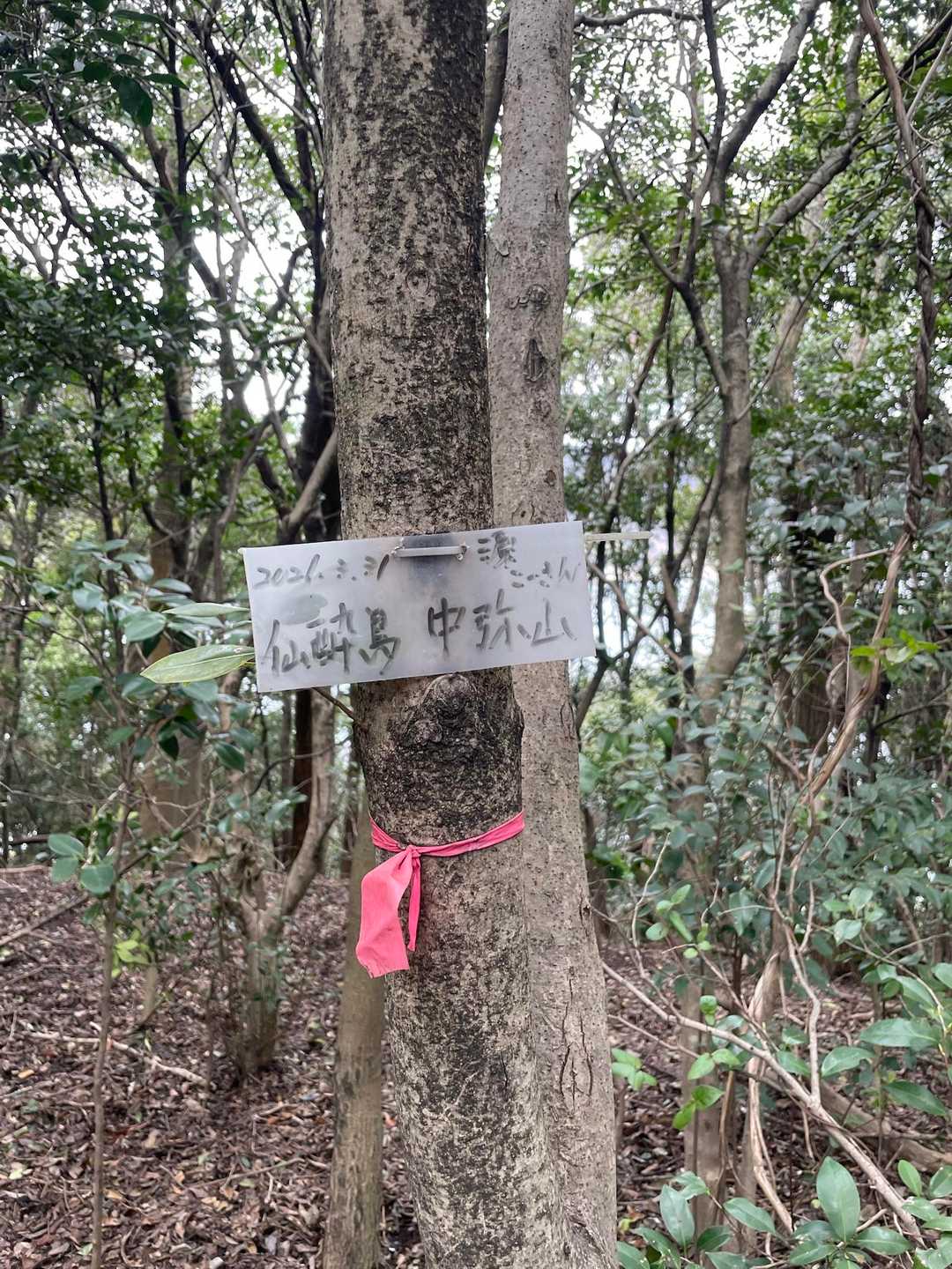 大弥山-行啓記念碑 周回コースの写真