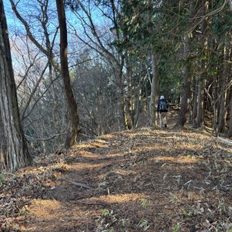 こっちの方が高いのに標識は無く