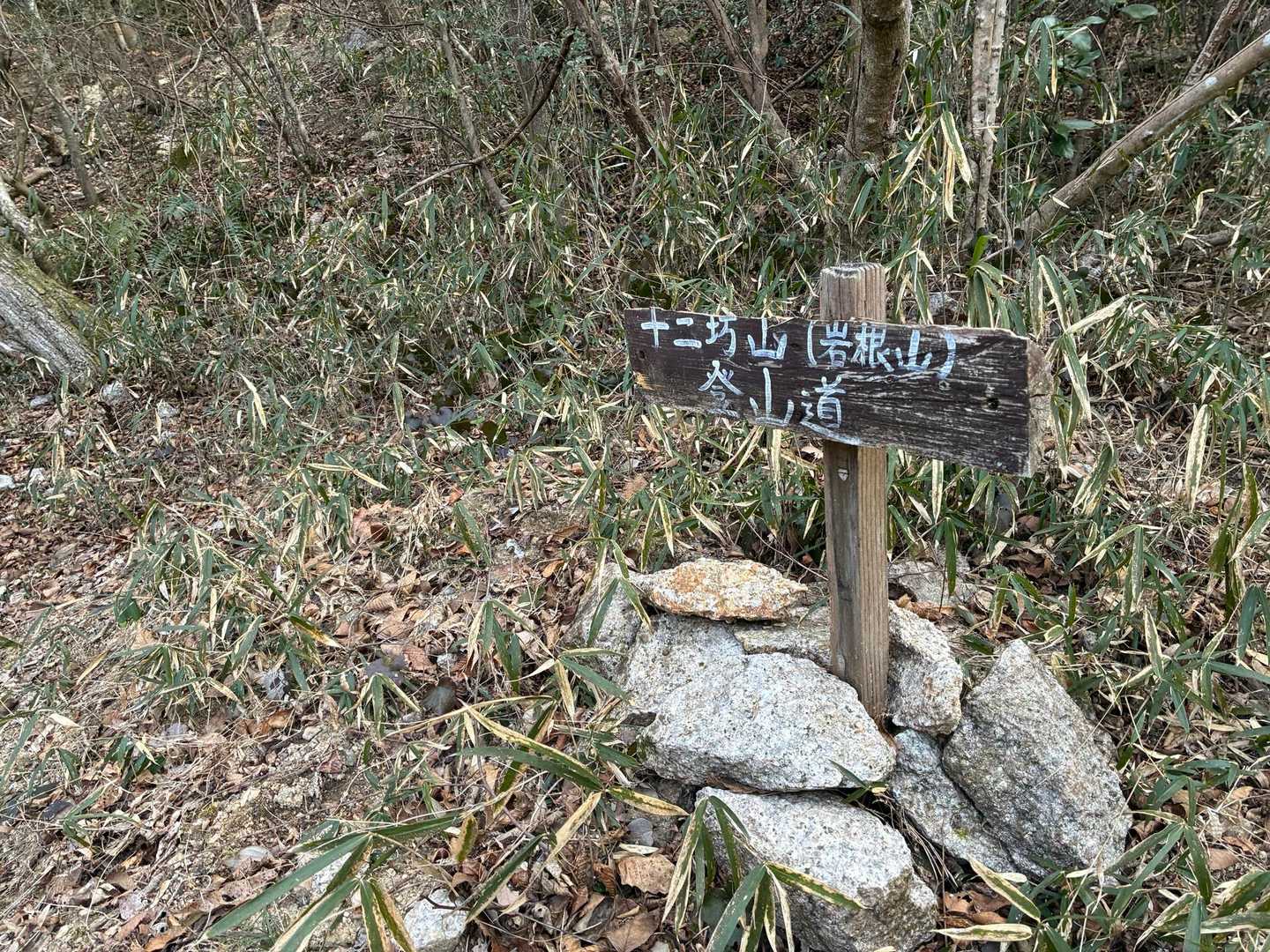 登山道へ