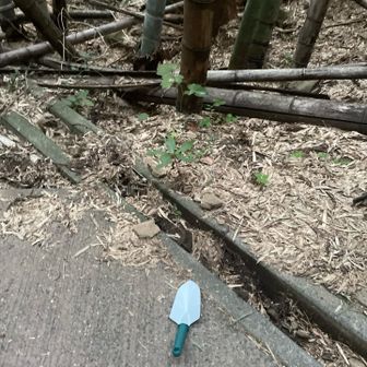 今日は側溝の掃除がメイン