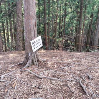 この案内も時々見かけます