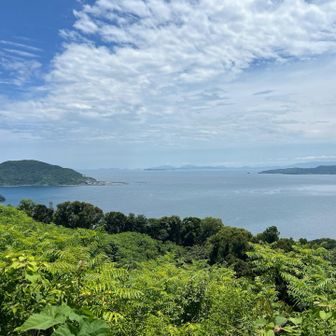 左　　玄海島
中奥　相島
右　　志賀島