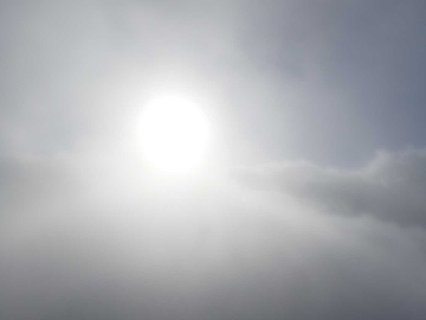 太陽頑張ってくれ