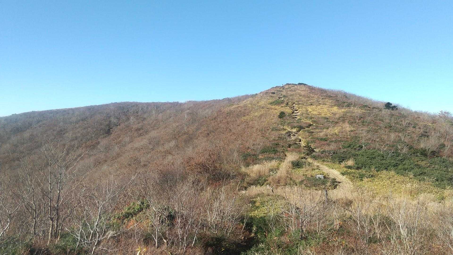 ここ歩けるんだ～😆