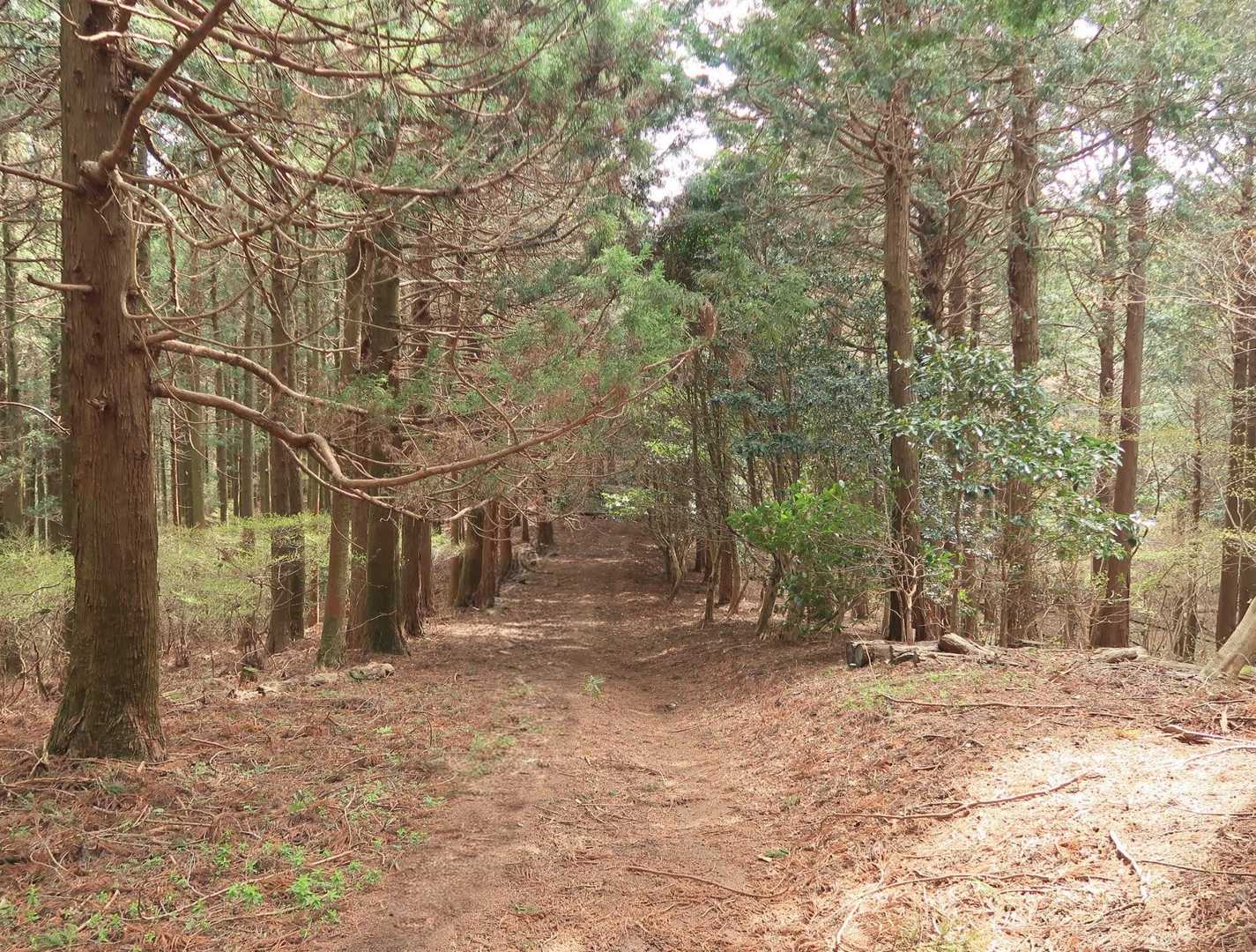 弘法山方面へ！