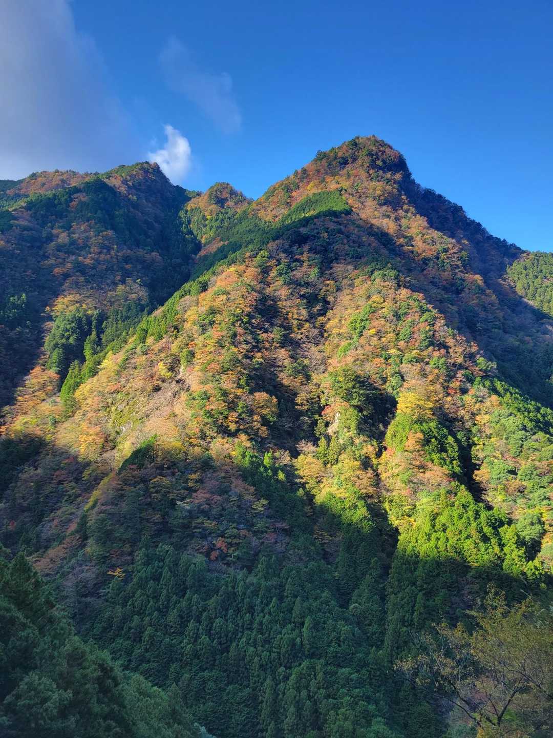 迷岳 往復コースの写真