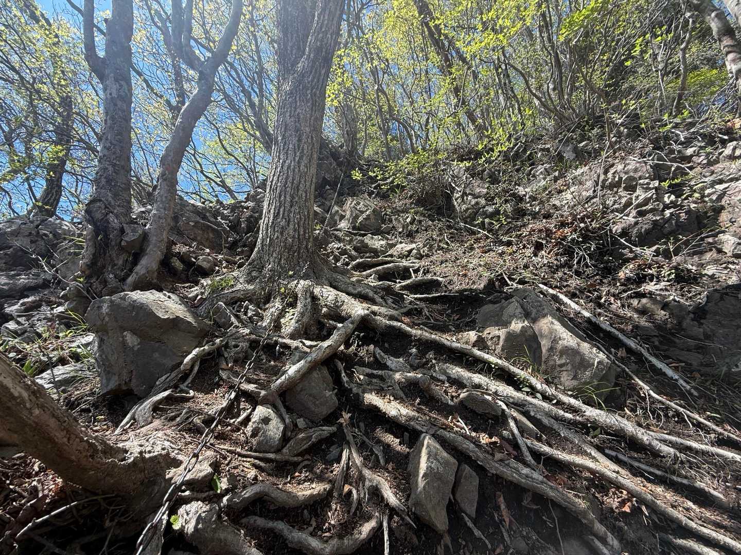 米沢山からは鎖場が始まります。それほど難しくはないけど、3箇所くらいあったかな？足も疲れてるので、こけないように気をつけるだけでメンタルが削がれます。