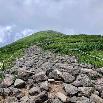 岩があるけど歩きやすい🚶