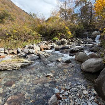 ここに来るまでに何ヶ所か渡渉💧この写真の場所で引き返し登ることに⛰️カメラ機材なければ行ったかな😁転んで壊したくなかった(笑)