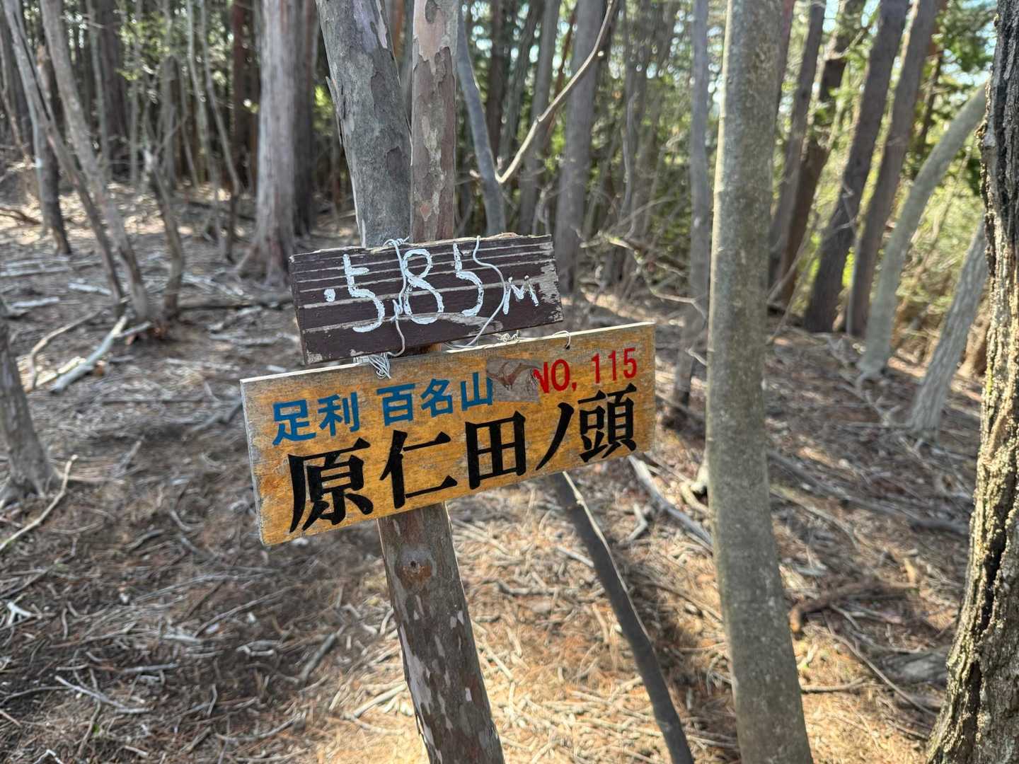 原仁田ノ頭とうちゃーく