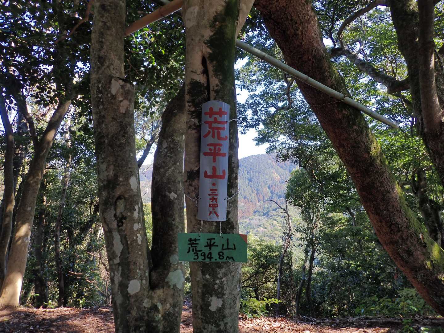 頂標