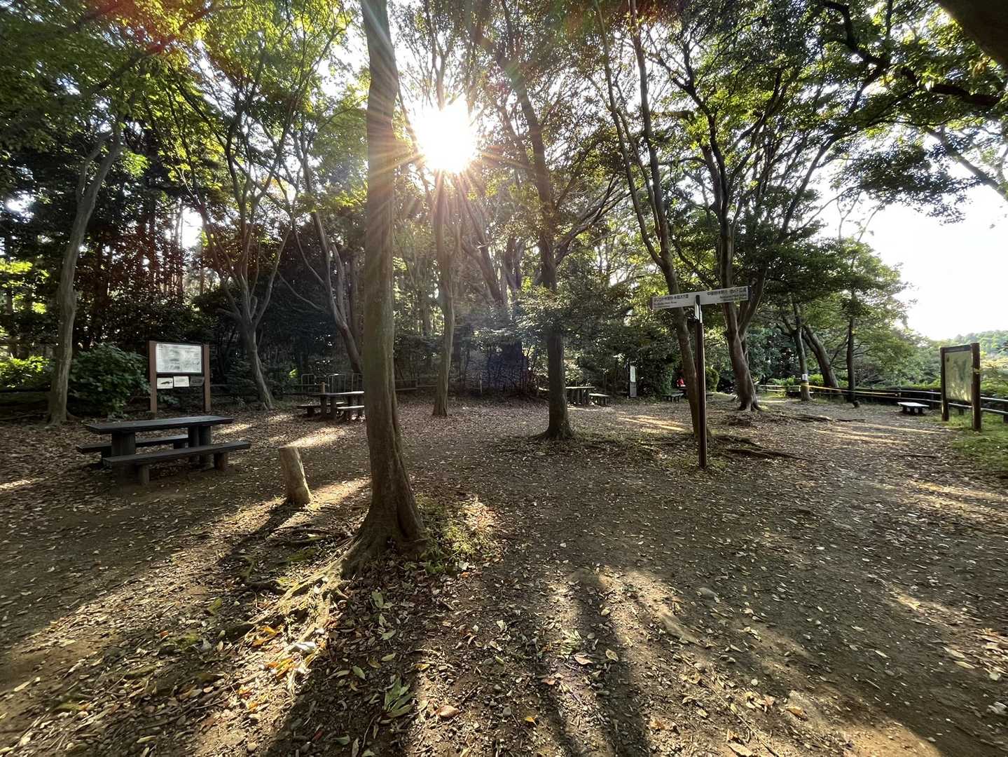 最初の休憩スポット、いっしんどう広場

以前はここで一旦小休止しないとダメでしたが、今日は全然大丈夫なのでスルーして先に進みます👩🏻‍🦯

この手前から天園まではトレッキングポール無しでも大丈夫でした🙌🏻