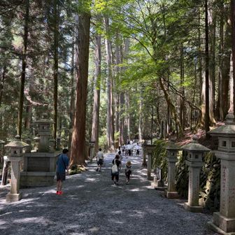 キレイな参道が続く