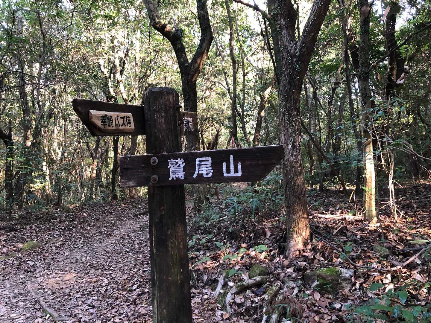 初心者にはありがたい😭
目印ないと不安でいっぱい💦