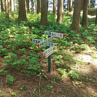 沢山のコースがあるようです。