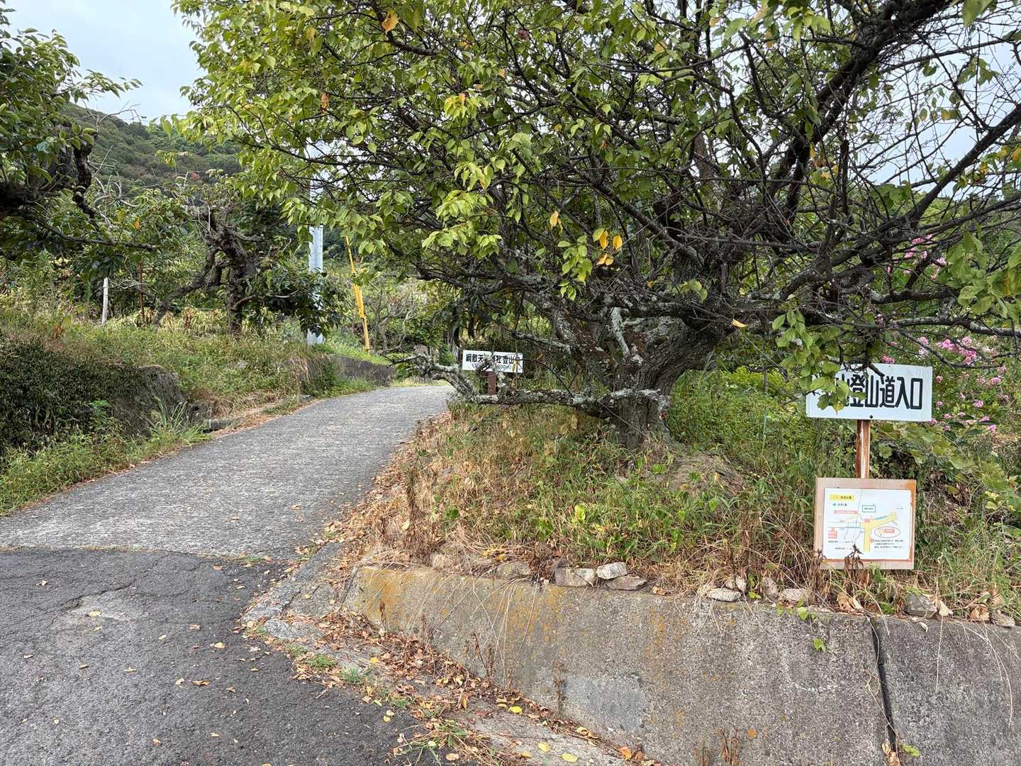 いつものここから