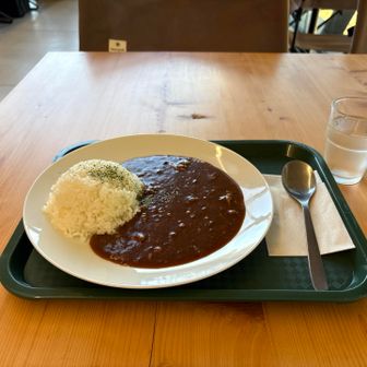 本日のカレー、欧州カレー。1,200円也。
5分で瞬殺。
水をコップに4杯頂き水分補給完了。