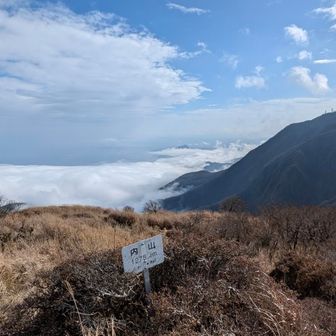鶴見岳とひょっこり高崎山