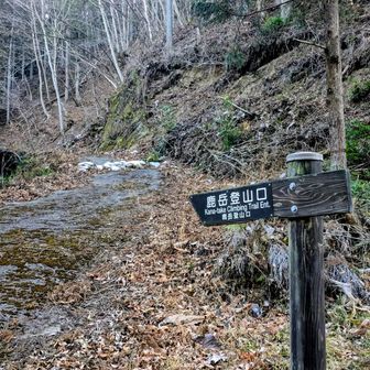 木々岩峠登山口から林道で、