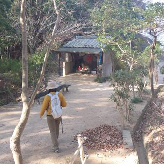 いつもの場所に下りてきました。