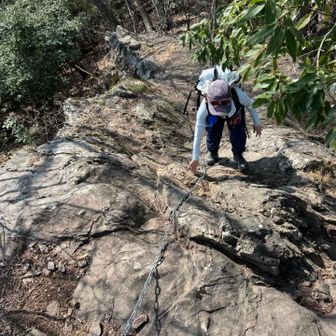 ファイト〜いっぱ〜つって言ってたな🤭