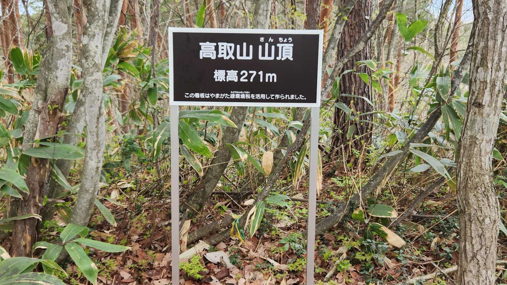 展望台が山頂かと思ったら違いました😵
ちょっと離れた地点が山頂でした💦