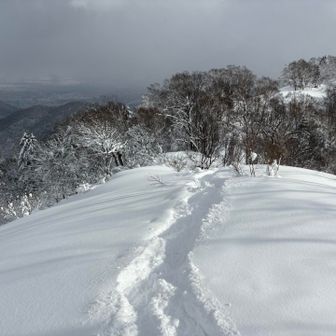 ひゃっほー🙌🏃‍♀️