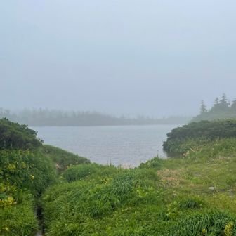 八幡沼
