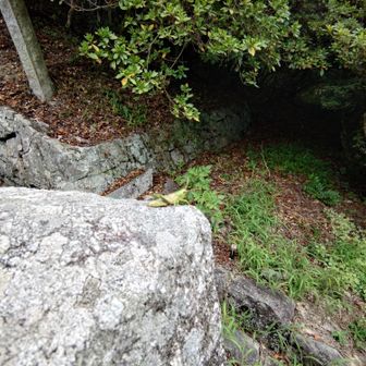 暑いねぇ