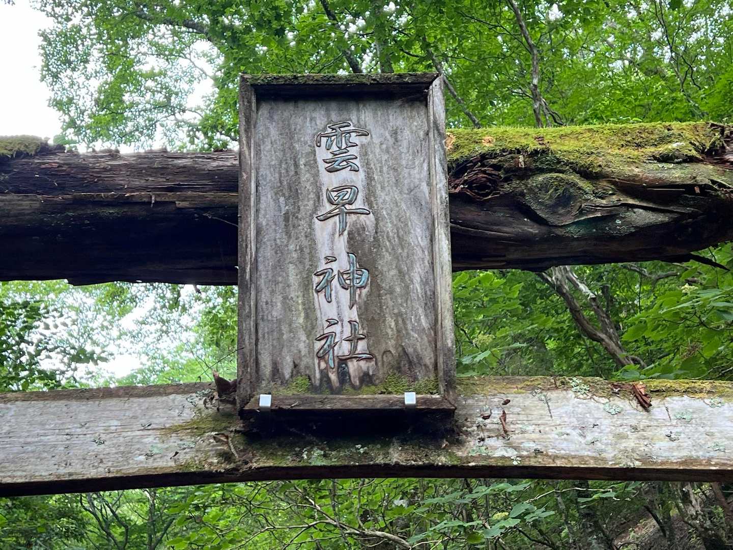 雲早山 周回コースの写真