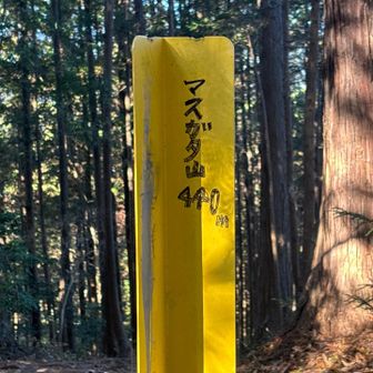次のピーク『マスガタ山』に到着❣️
看板がないなーと探していると、東京電力さんの案内杭の裏に手書きでマスガタ山😅