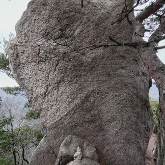 うす岩？の全容