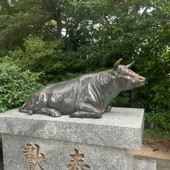 撫で牛
🦵を撫でました