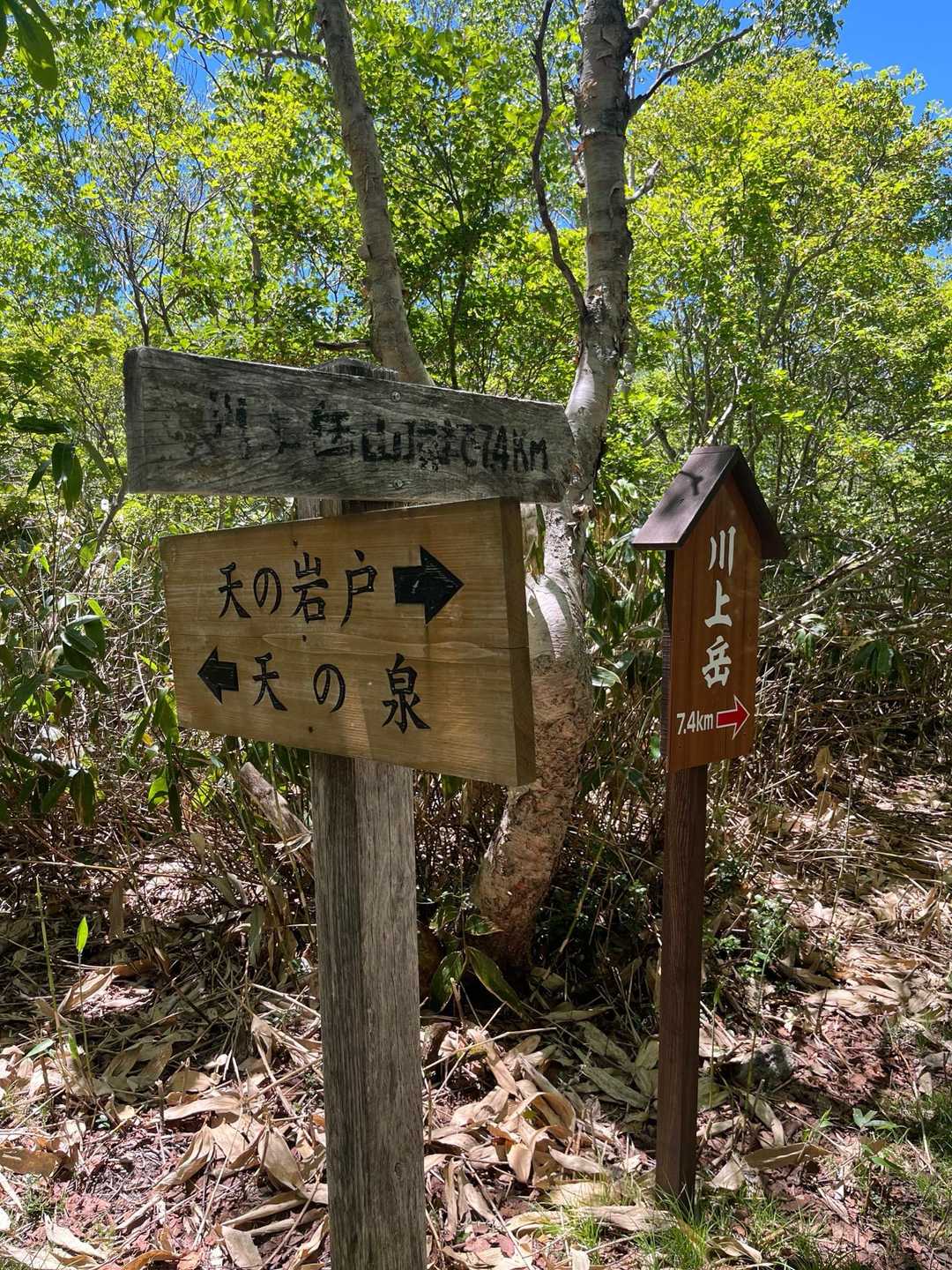 位山 往復コースの写真