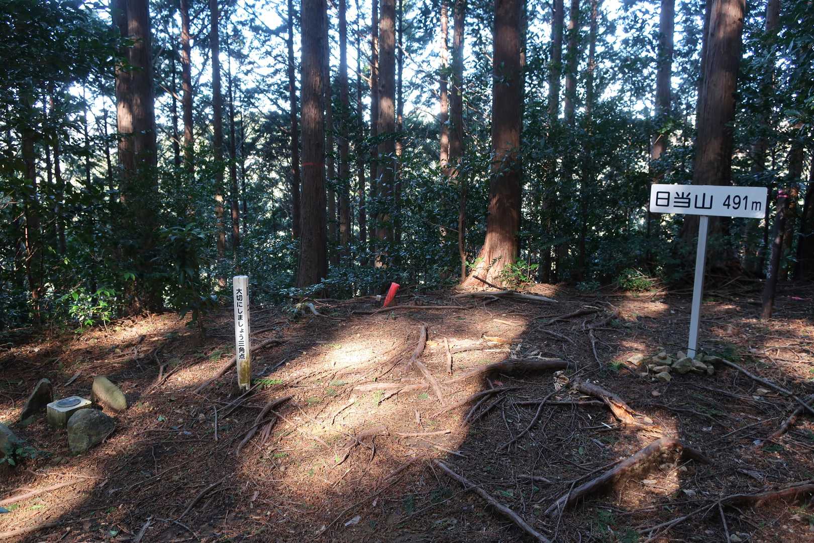 日当山（ひなた山）のピークに到着。その名とは裏腹に日当たりはあまりよくなさそうな場所です。