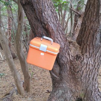 クーラーボックスに水との記載が開けてみると。ペットボトル水(500ml)入ってました😳たぶん非常用かと