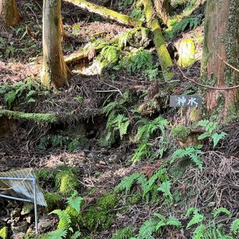 お手手を清めて