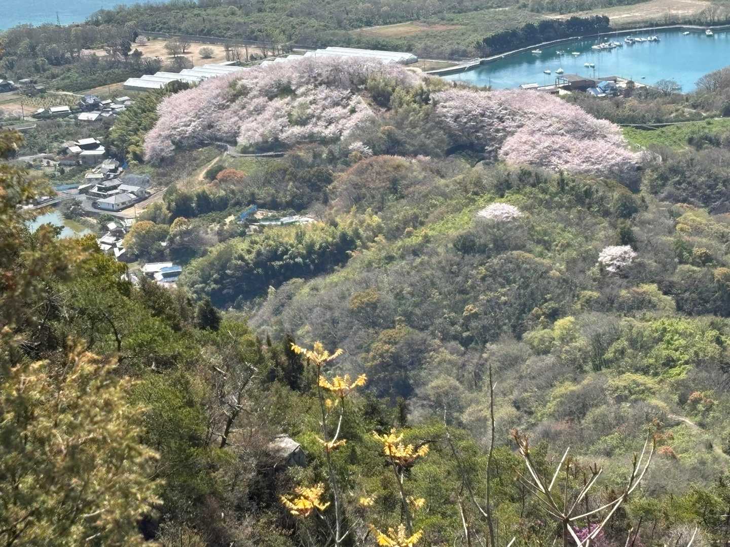 見下ろす塔の峰