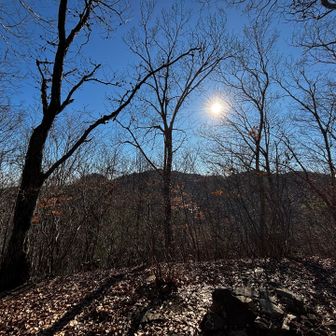湯ノ花山頂は暖かな陽射しが降り注いでました☺️