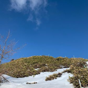 湯ノ丸ブルー。
言いたいだけです。。